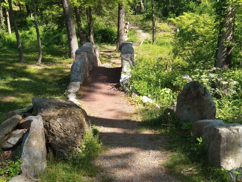 Woodland Trails Made for Slow Wandering