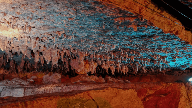 Woodward Cave, Woodward
