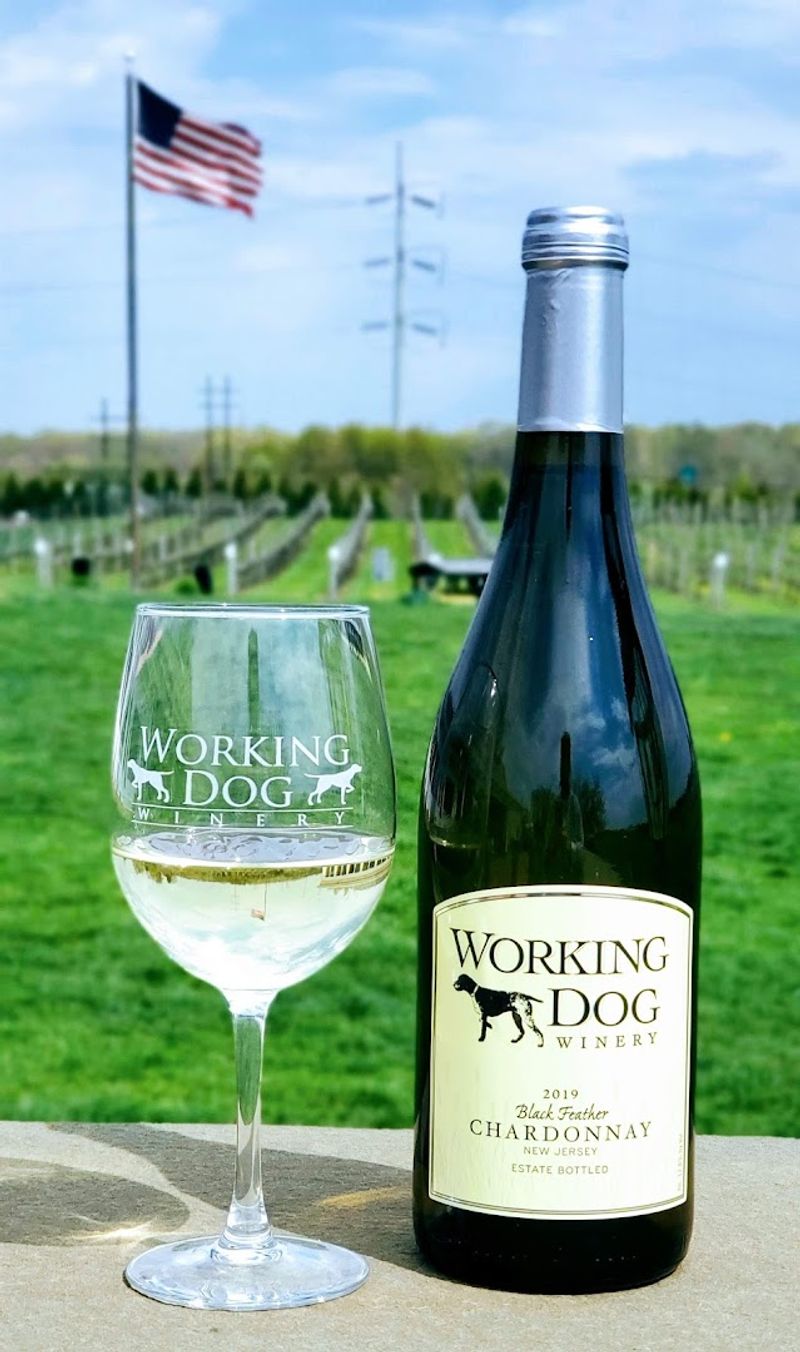 Working Dog Winery