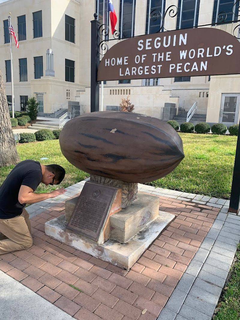 World's Largest Pecan
