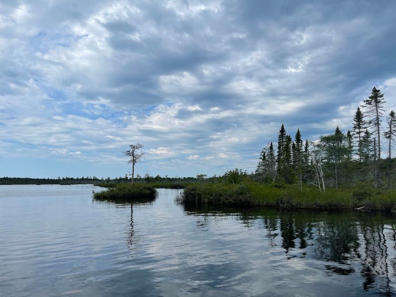 Secret Ecosystems and Surprising Finds Hidden Inside the Park