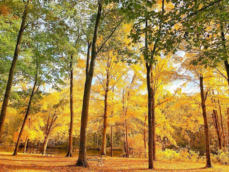 Year-Round Outdoor Recreation and Seasonal Events Year-Round Outdoor Recreation and Seasonal Events