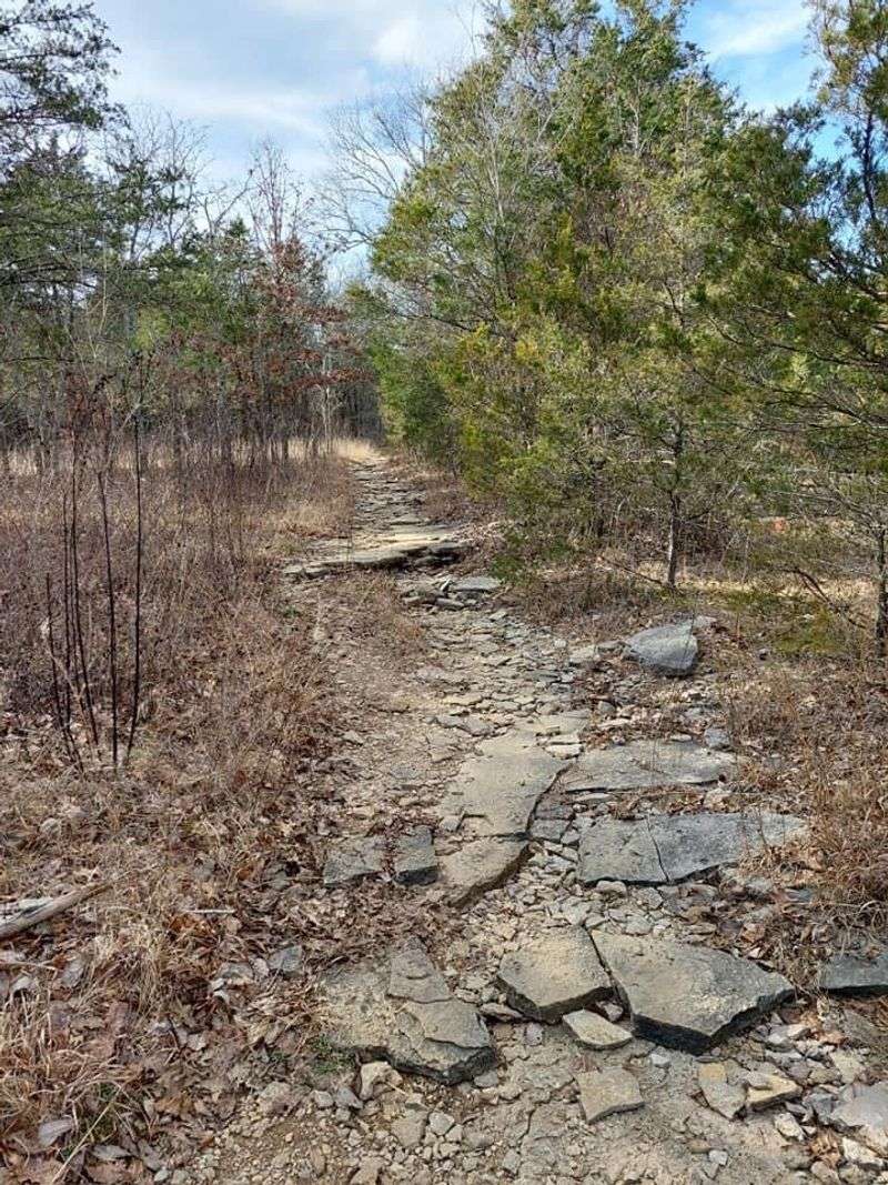 Yes, You Can Hike Through This Surprising Tennessee Landscape Yes, You Can Hike Through This Surprising Tennessee Landscape