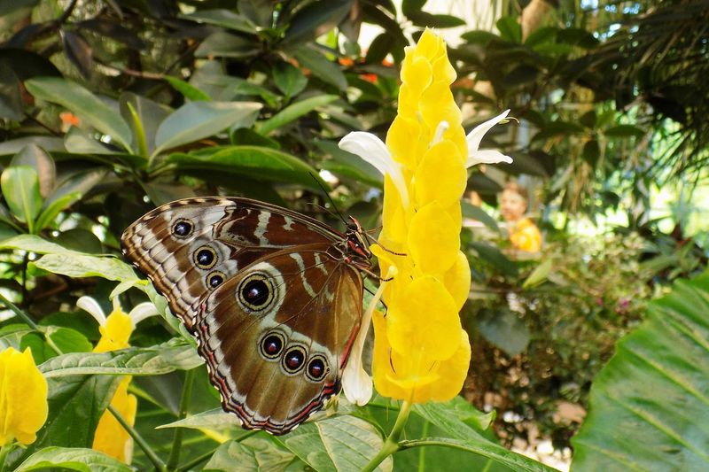 You can watch the life cycle unfold