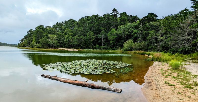 Nickerson State Park (Brewster)