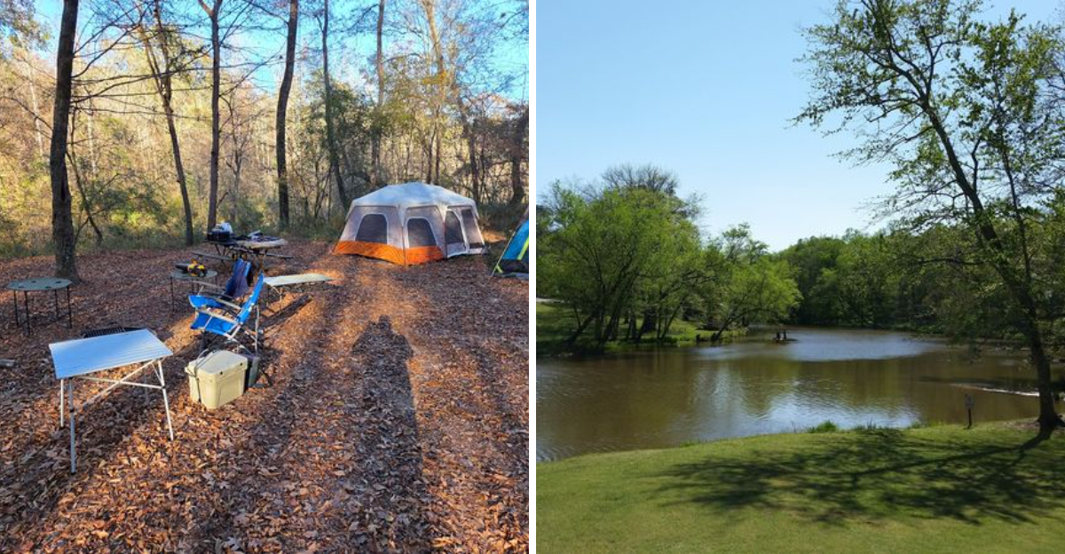 A Surprisingly Overlooked State Park in Georgia That Feels Like a Hidden Gem