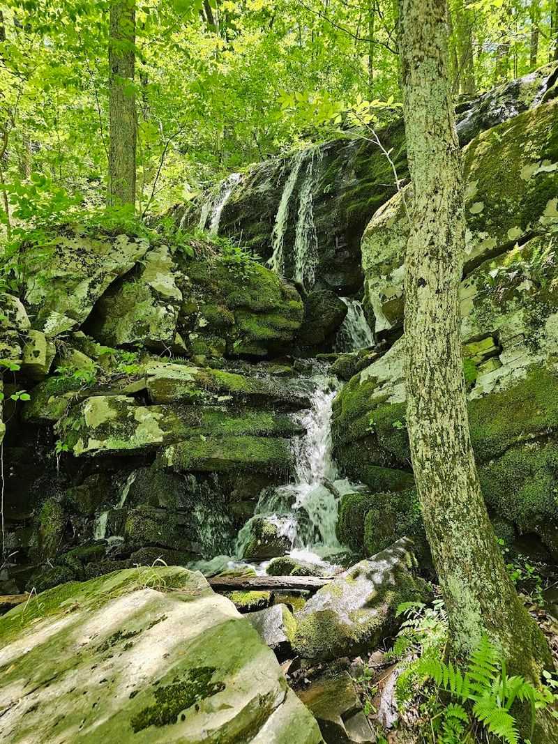 John Burroughs Nature Sanctuary (Esopus, Hudson Valley)