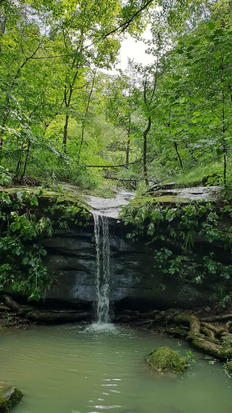 Ferne Clyffe State Park