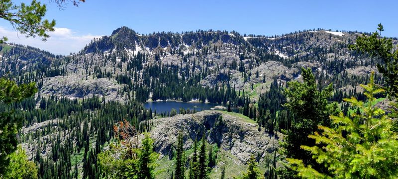 Surrounded by Forest, Not Hemmed In by It Surrounded by Forest, Not Hemmed In by It