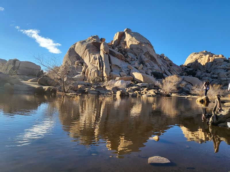 Barker Dam Nature Trail