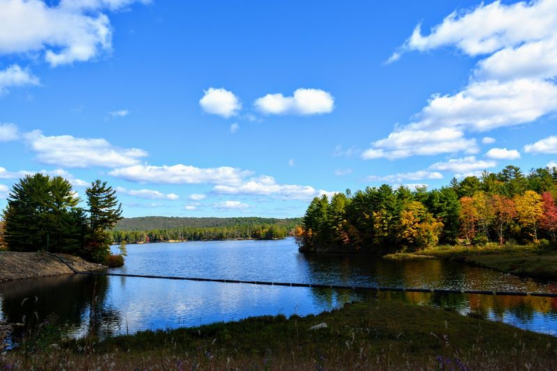 Tully Lake Vista (Royalston)