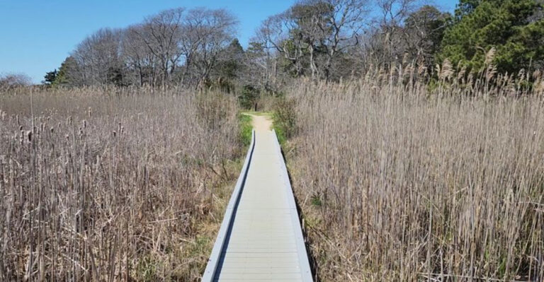 Beautiful But Not Difficult: 7 Hikes Under 7 Miles In New Jersey For Beginners