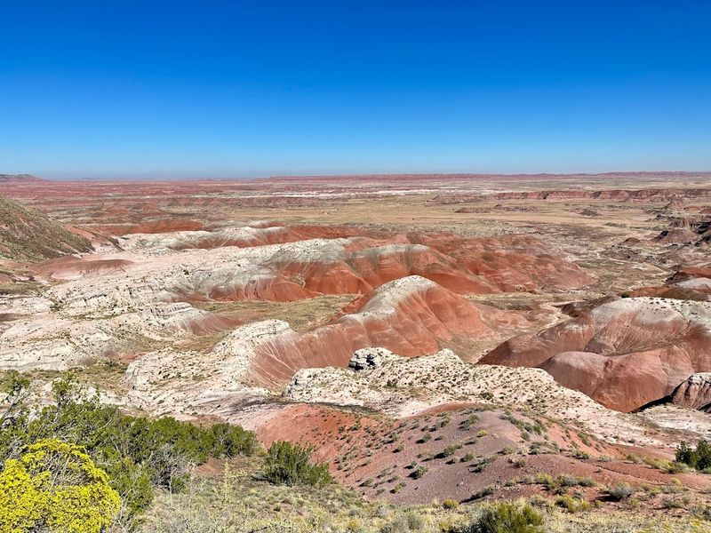 Painted Desert Rim Trail (Petrified Forest National Park)