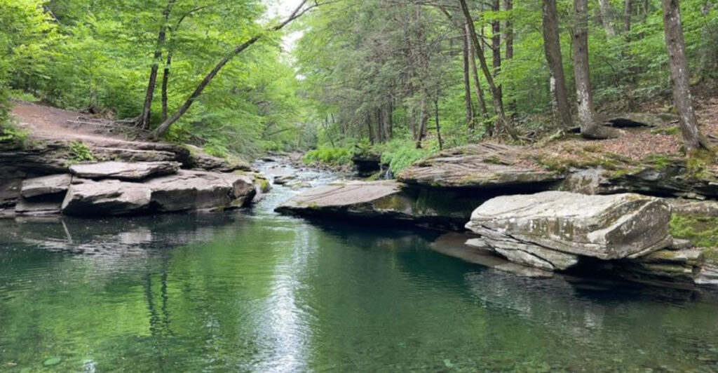 Cool Off at These 9 Under-the-Radar Swimming Holes Across New York