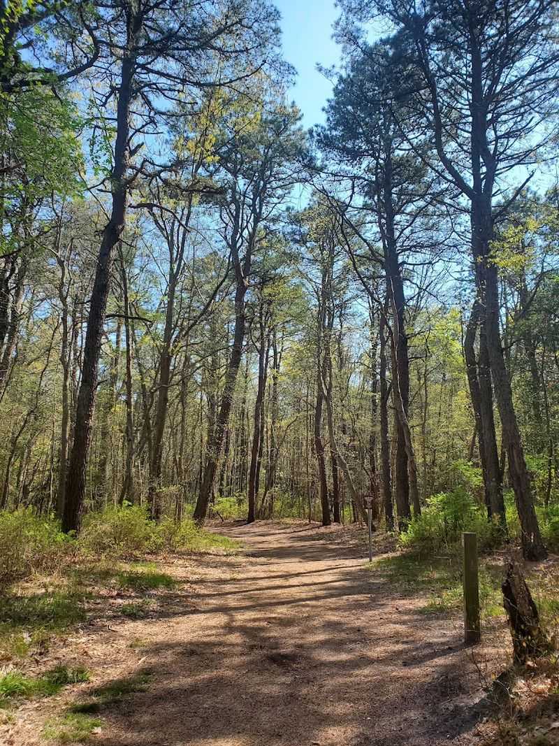 deCamp Wildlife Trail at Edwin B. Forsythe National Wildlife Refuge