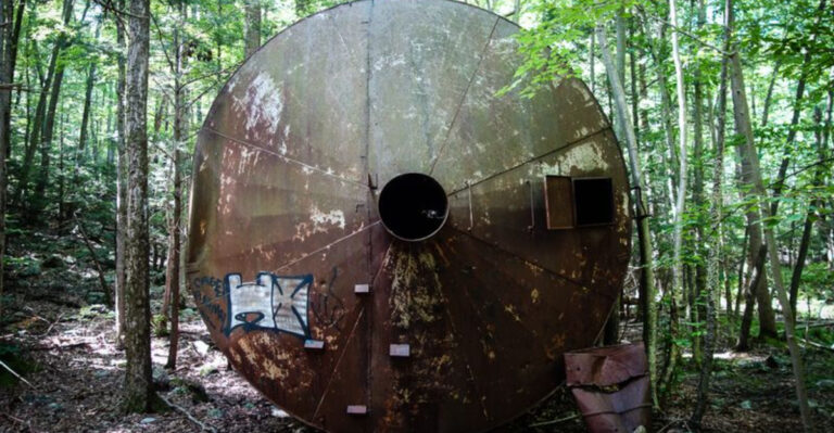Deep in This New Jersey Forest, Hikers Stumble Upon a Forgotten 1900s Industrial Site