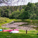 Drift Into Nature: 13 Pennsylvania Lazy Rivers Perfect for Wildlife Watching