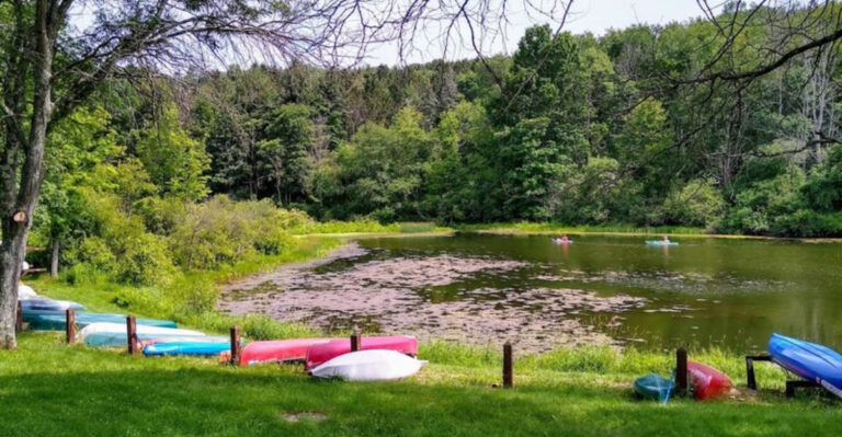 Drift Into Nature: 13 Pennsylvania Lazy Rivers Perfect for Wildlife Watching