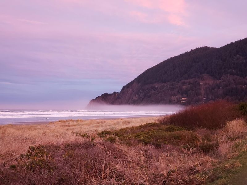Manzanita