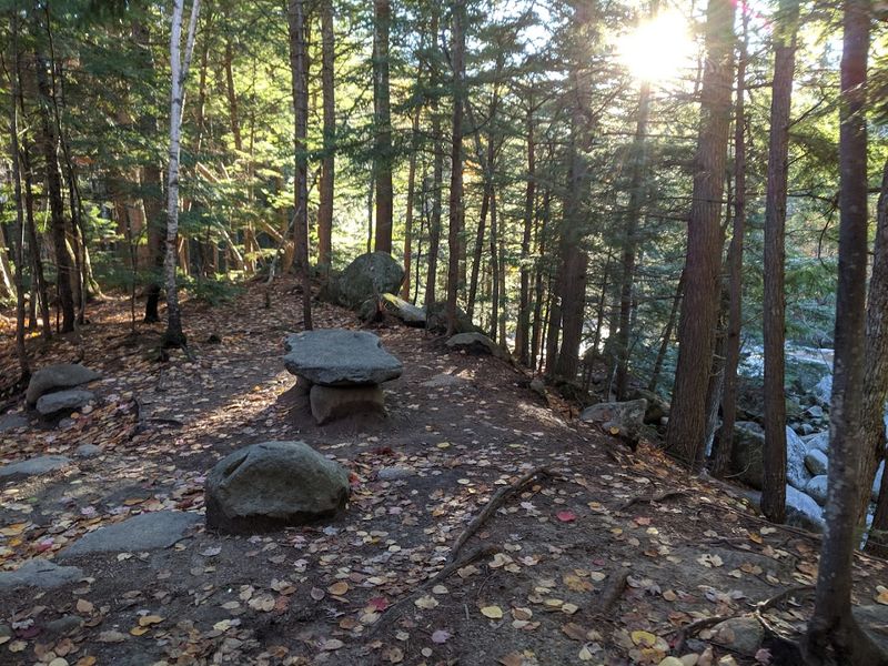 Why This Short Trail Sticks In Your Head