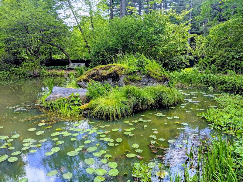 The Gardens That Pull You Forward