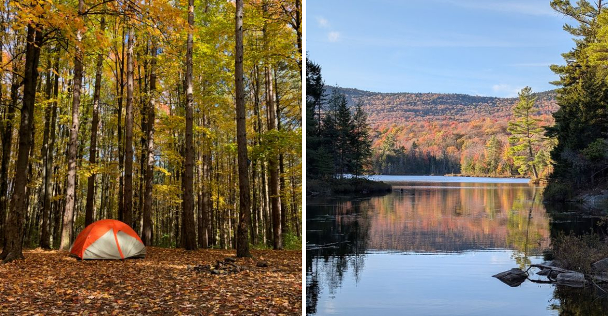 Escape Into Nature Anytime With These 11 First-Come New York Campgrounds