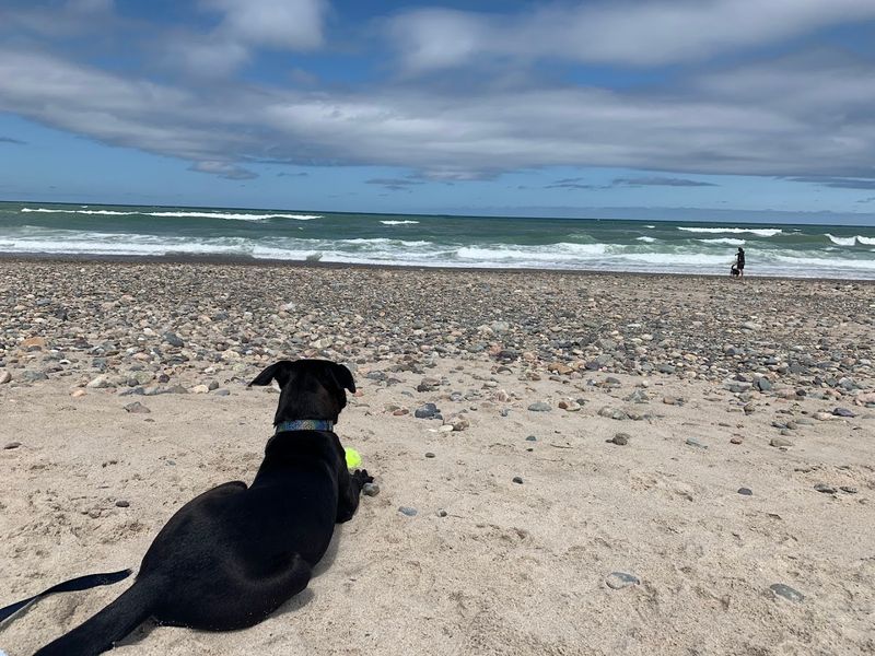 Rexhame Beach (Marshfield)
