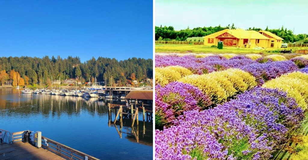 Fall in Love With Washington One Day Trip at a Time With These 10 Escapes
