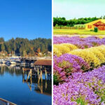 Fall in Love With Washington One Day Trip at a Time With These 10 Escapes