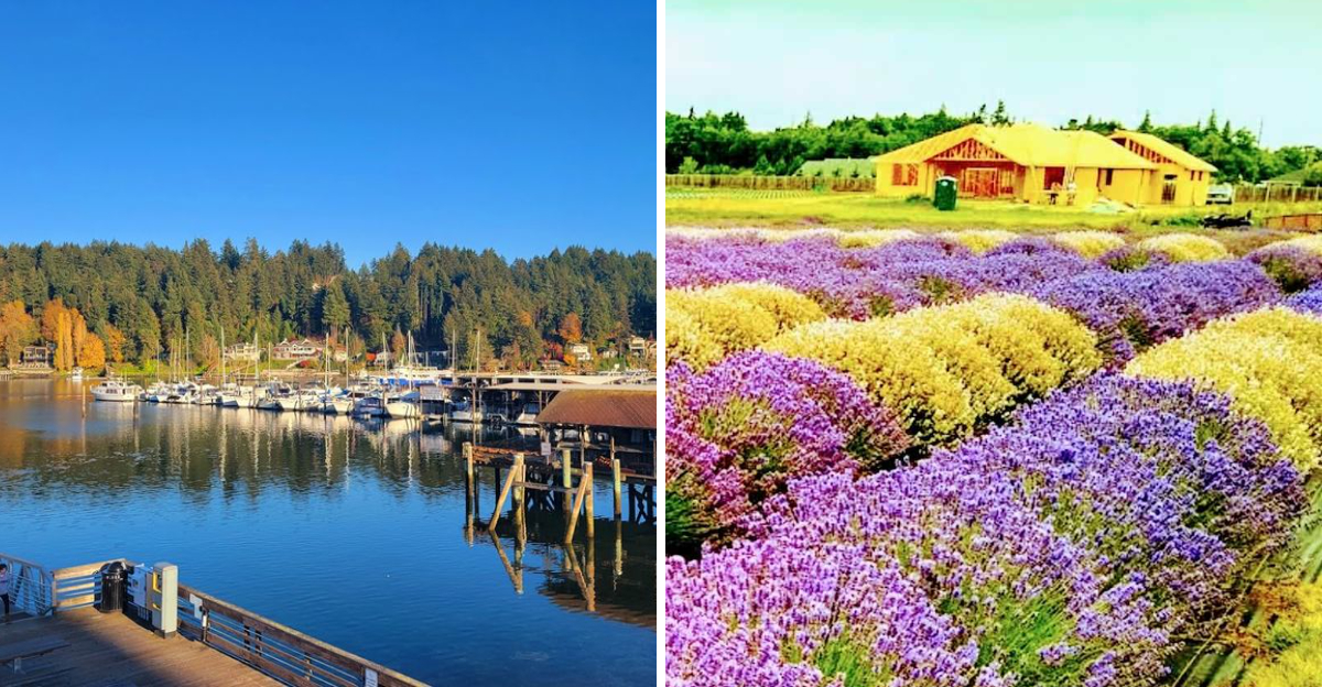 Fall in Love With Washington One Day Trip at a Time With These 10 Escapes
