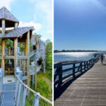Families Love These New York Boardwalk Trails for Their Views and Easy Paths