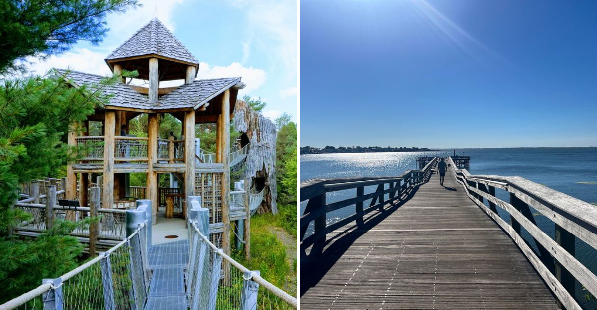 Families Love These New York Boardwalk Trails for Their Views and Easy Paths