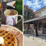 Few People Know About This Enchanting Rabbit-Themed Cafe Tucked Away in South Carolina