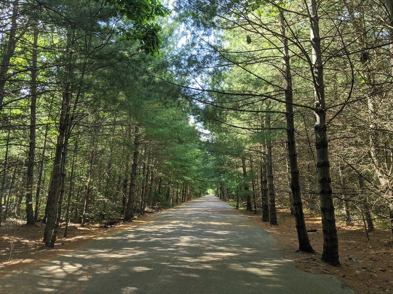 Wompatuck State Park (Hingham)