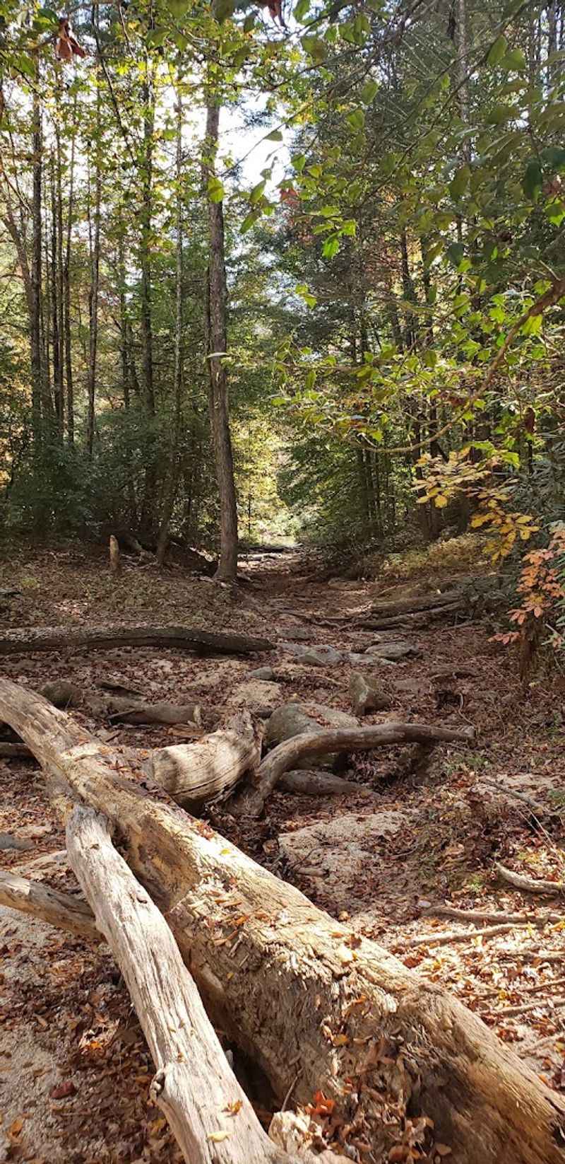 Parking, Road Access, and What to Bring