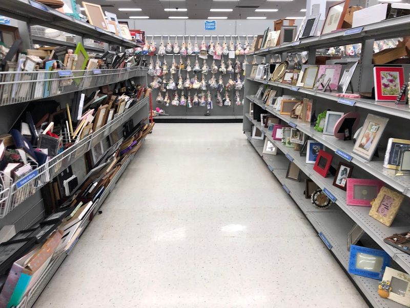 Where the Best Laurel Finds Hide in Plain Sight Where the Best Laurel Finds Hide in Plain Sight