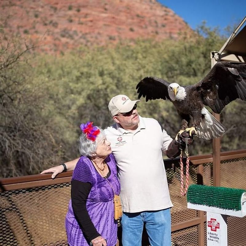 Wildlife Encounters That Catch You Completely Off Guard