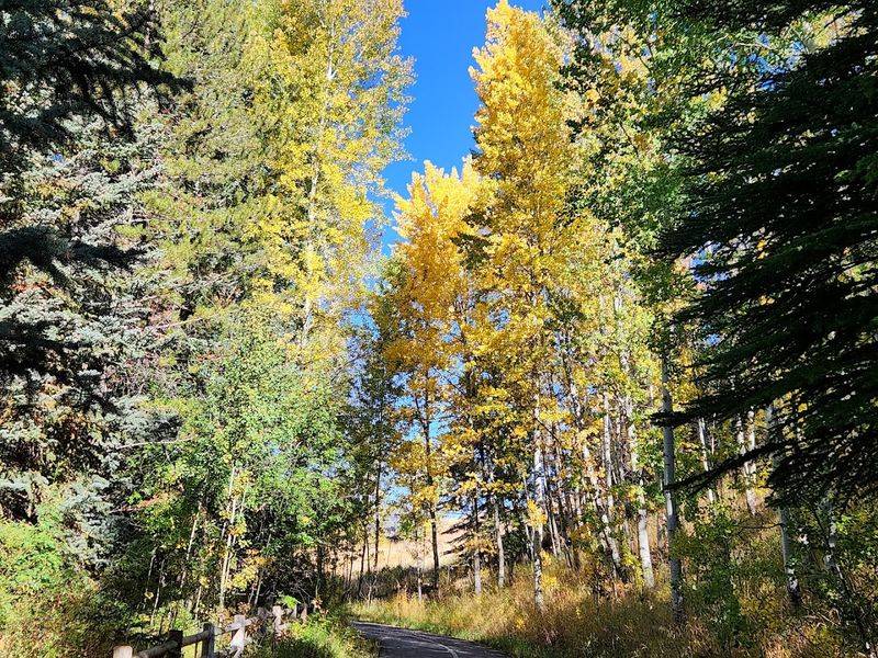 The Wood River Trail for Easy Miles and Clear Thoughts