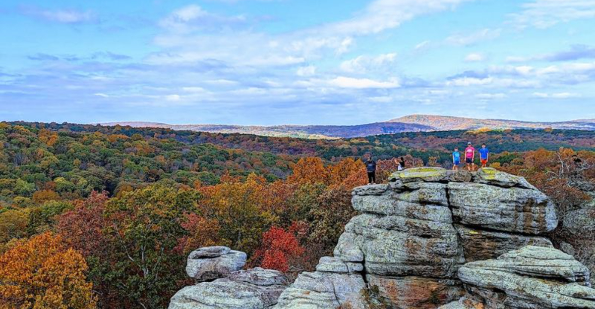 Illinois Looks Better From the Road—Start With These 11 Scenic Drives in 2026