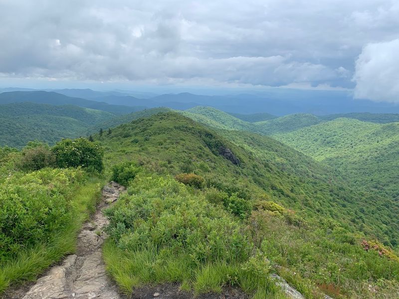 Art Loeb Trail (Pisgah National Forest)