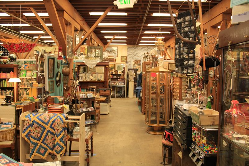 Why It Becomes a Repeat-Visit Kind of Place