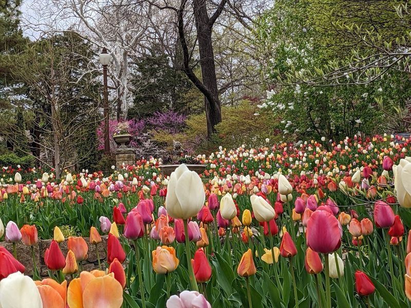 Spring Might Be the Most Beautiful Time to Visit