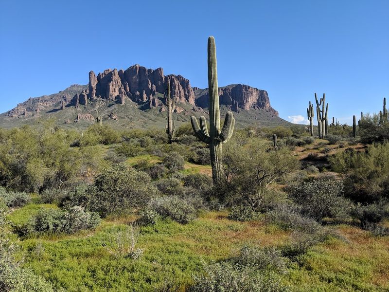 Apache Junction Apache Junction