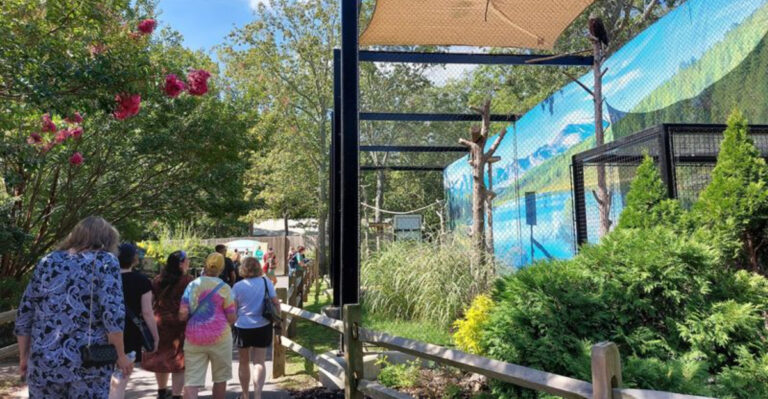 Looking For a Budget-Friendly Family Trip in New Jersey? This Free Cape May Zoo Might Be the Thing