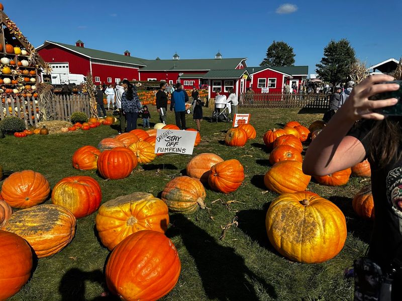 Stade’s Farm and Market (McHenry, IL)