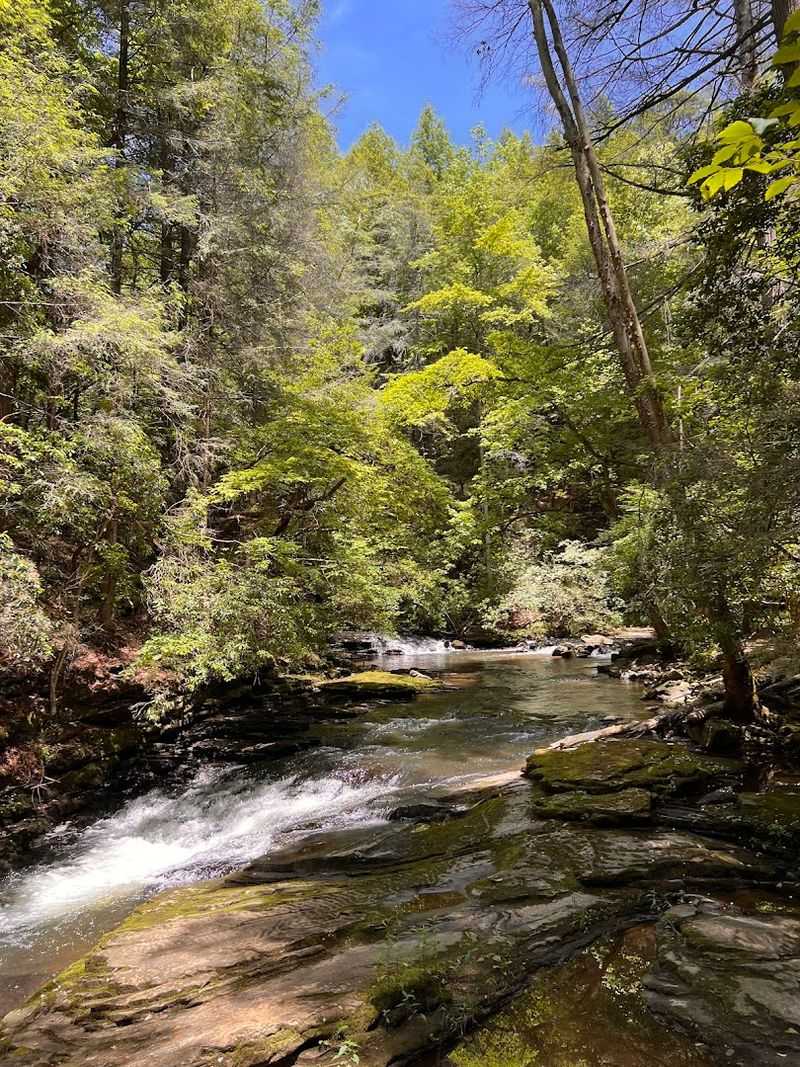 A Gorge That Makes a Fast Entrance