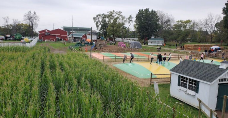 May Gets Sweeter At These 13 Michigan U-Pick Farms Full Of Fresh Treats