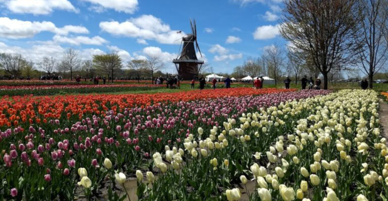 Michigan Turns Into A Dream At These 13 Gorgeous Spring Destinations