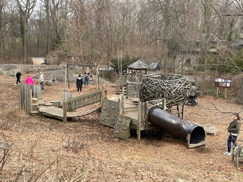 Where the Forest Becomes the Playground