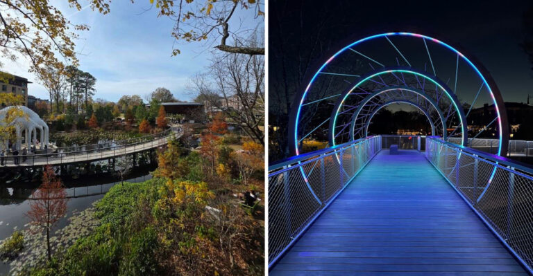 North Carolina’s Skywalk in Cary Offers a One-of-a-Kind Walk Among the Trees